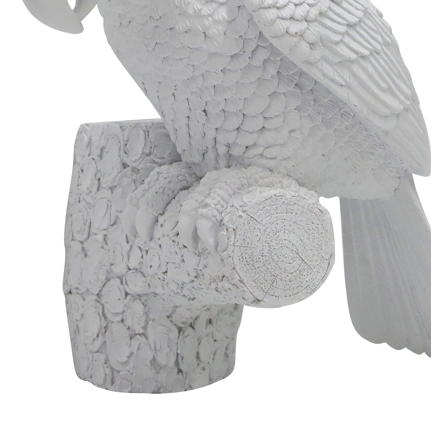 Bird Parrot 12.8&quot;H Wall Art