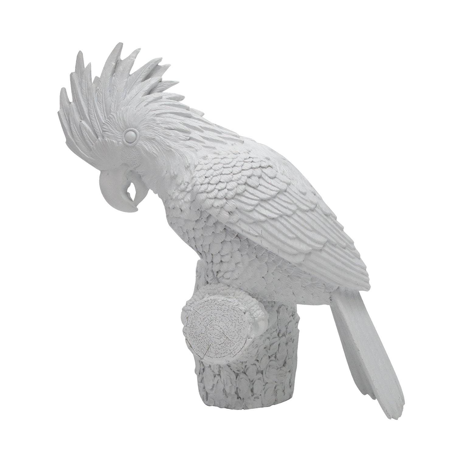 Bird Parrot 12.8&quot;H Wall Art