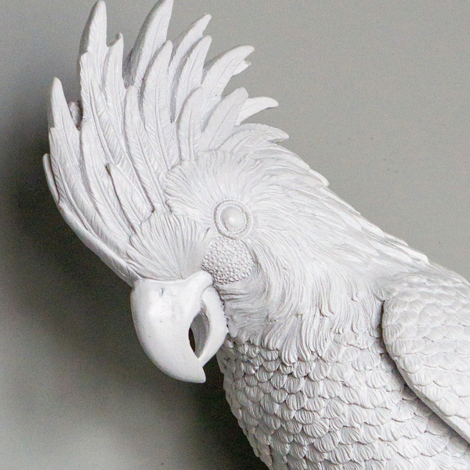 Bird Parrot 12.8&quot;H Wall Art