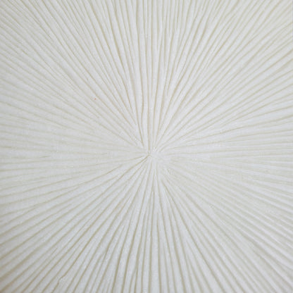 Groove 20&quot;SQ Wall Art, Cream