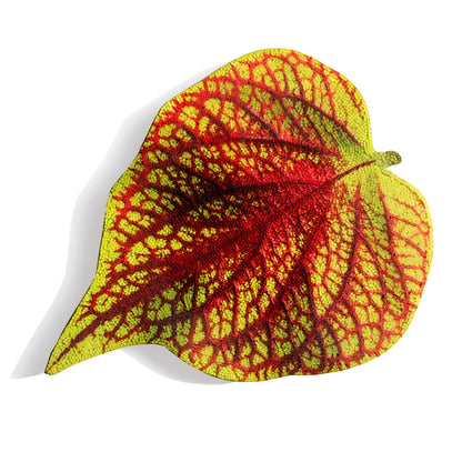 Mosaic Coleus 20&quot;H Leaf Wall Art