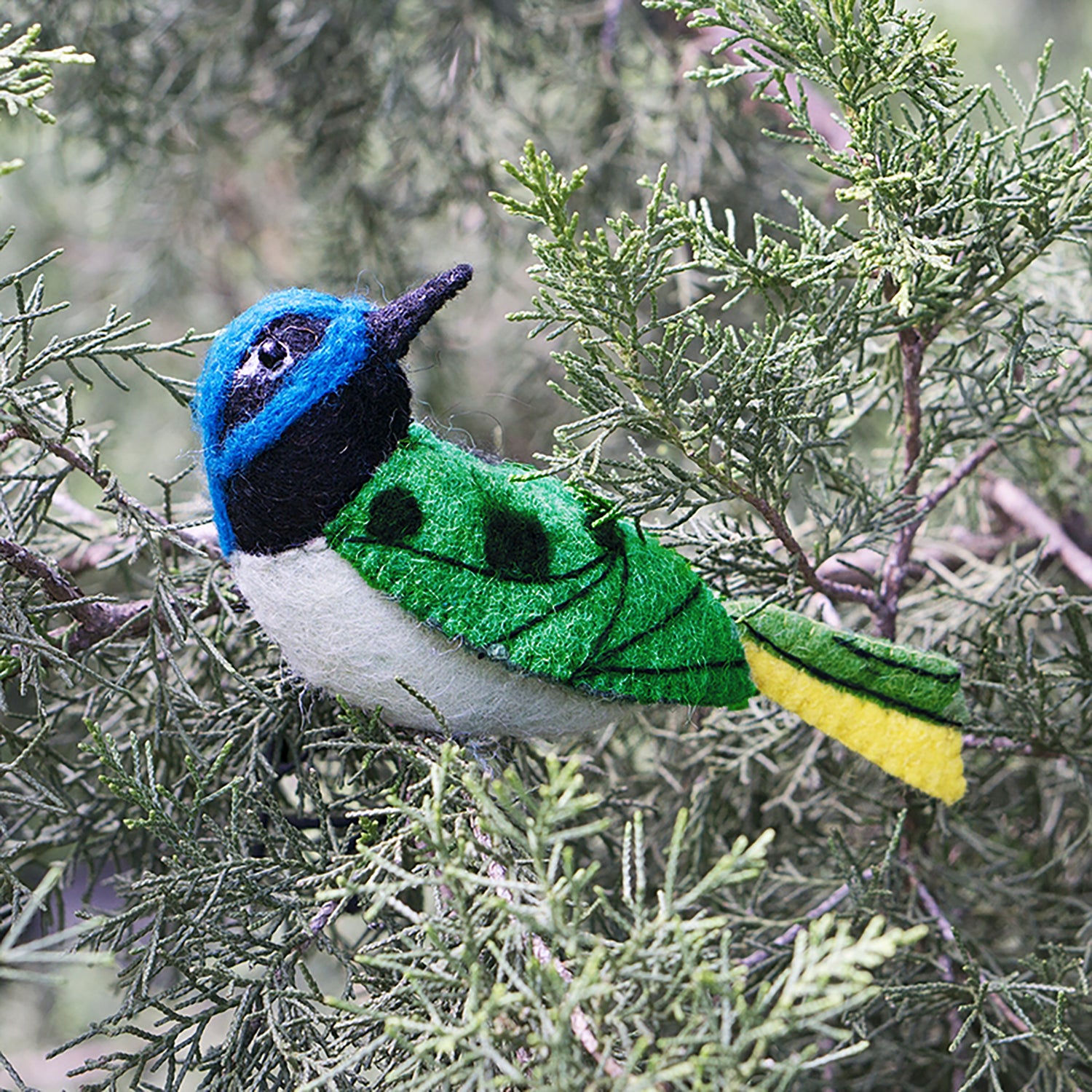 Felt Bird, Green Jay