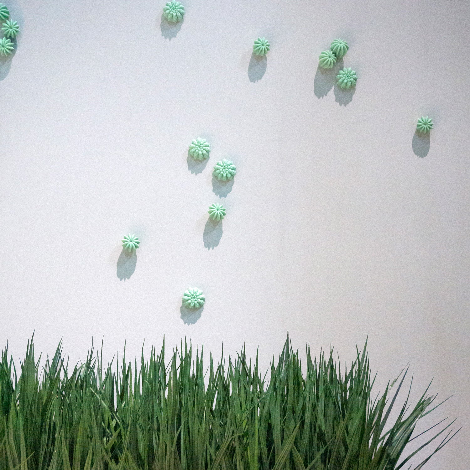 Cactus Wall Play™ Green Mint