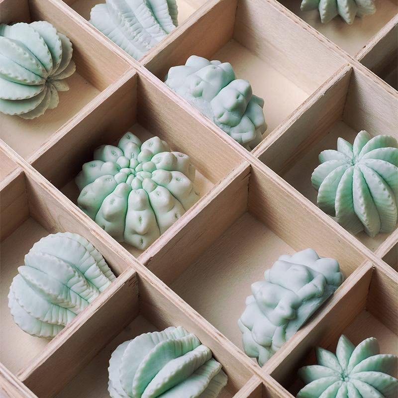 Cactus Wall Play™ Green Mint