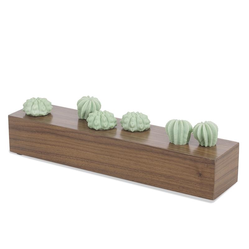 Cactus Wall Play™ Green Mint