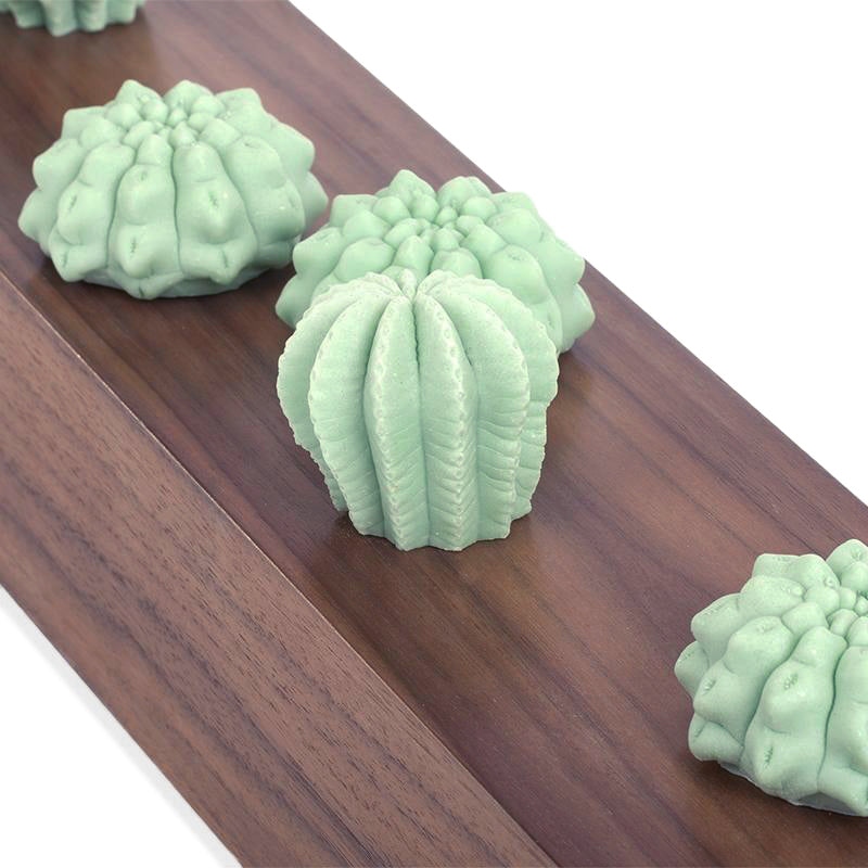 Cactus Wall Play™ Green Mint