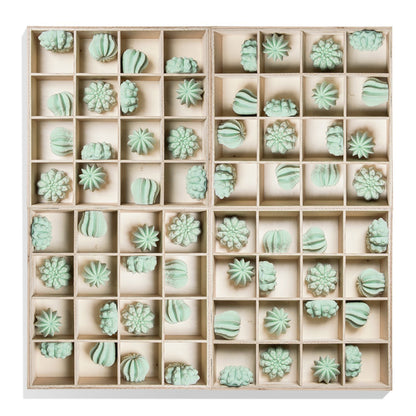 Cactus Wall Play™ Green Mint