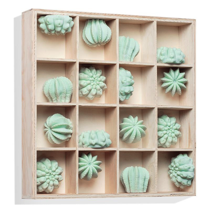 Cactus Wall Play™ Green Mint