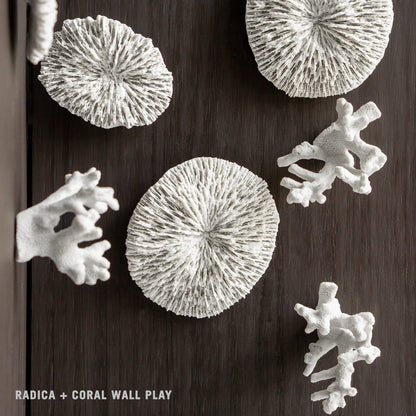 Coral Wall Play™ Off-White