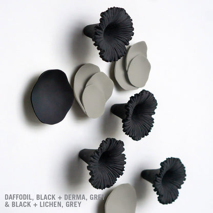 Daffodil Wall Play™ Black