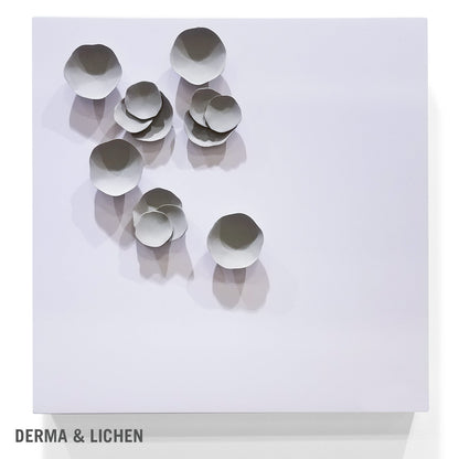 Derma Wall Play™ Grey Dove