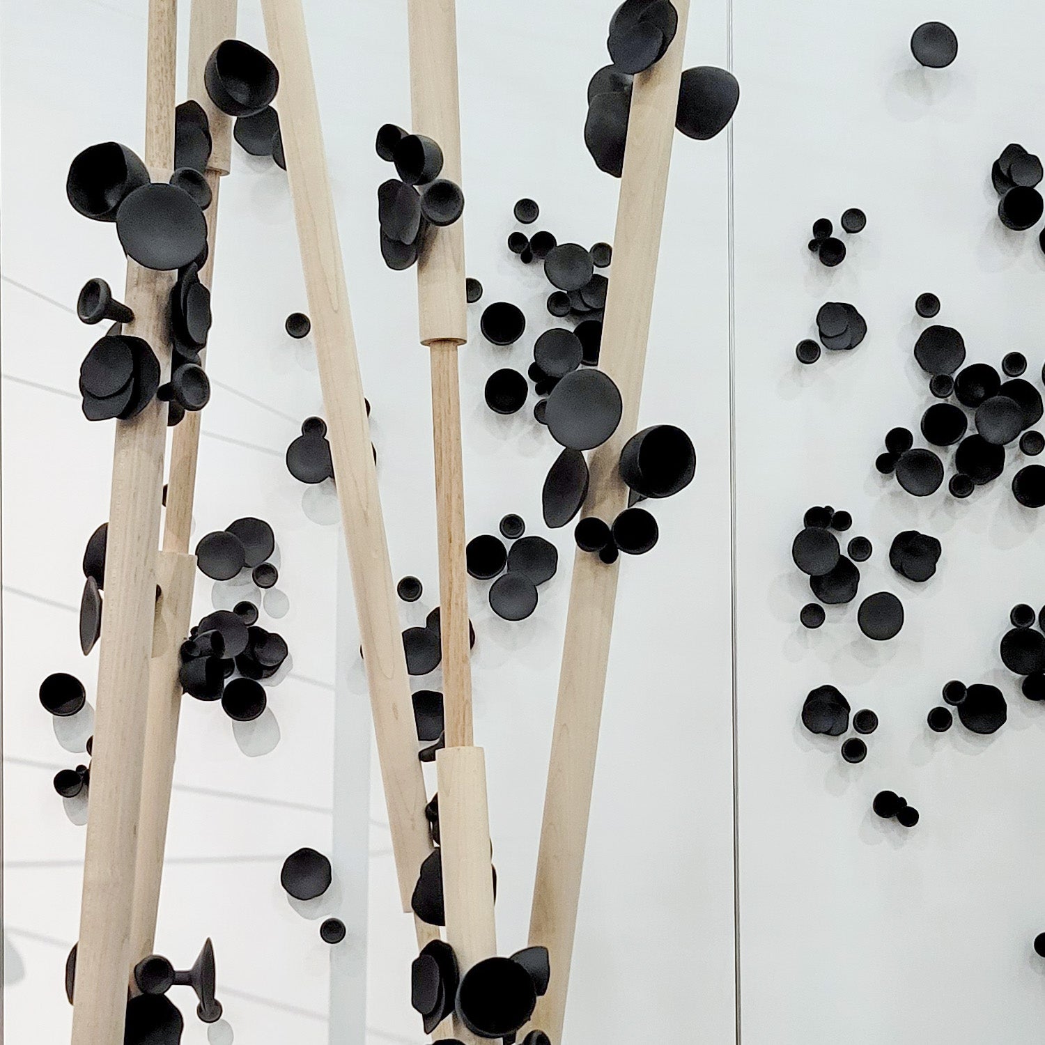 Seed Wall Play™ Black