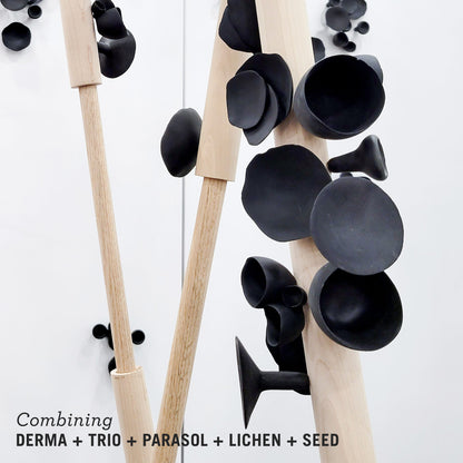 Seed Wall Play™ Black