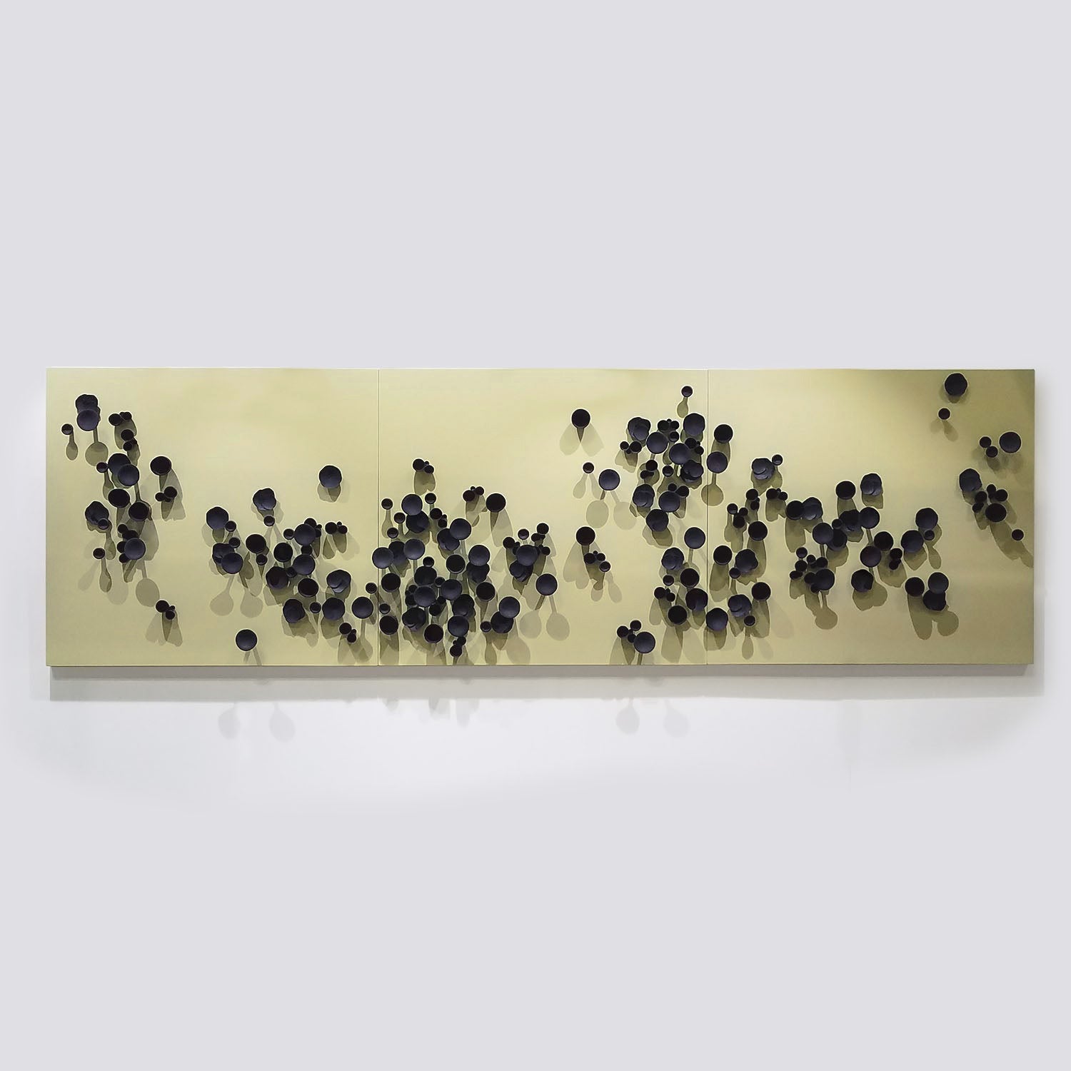 Seed Wall Play™ Black