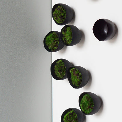 Seed Wall Play™ Black