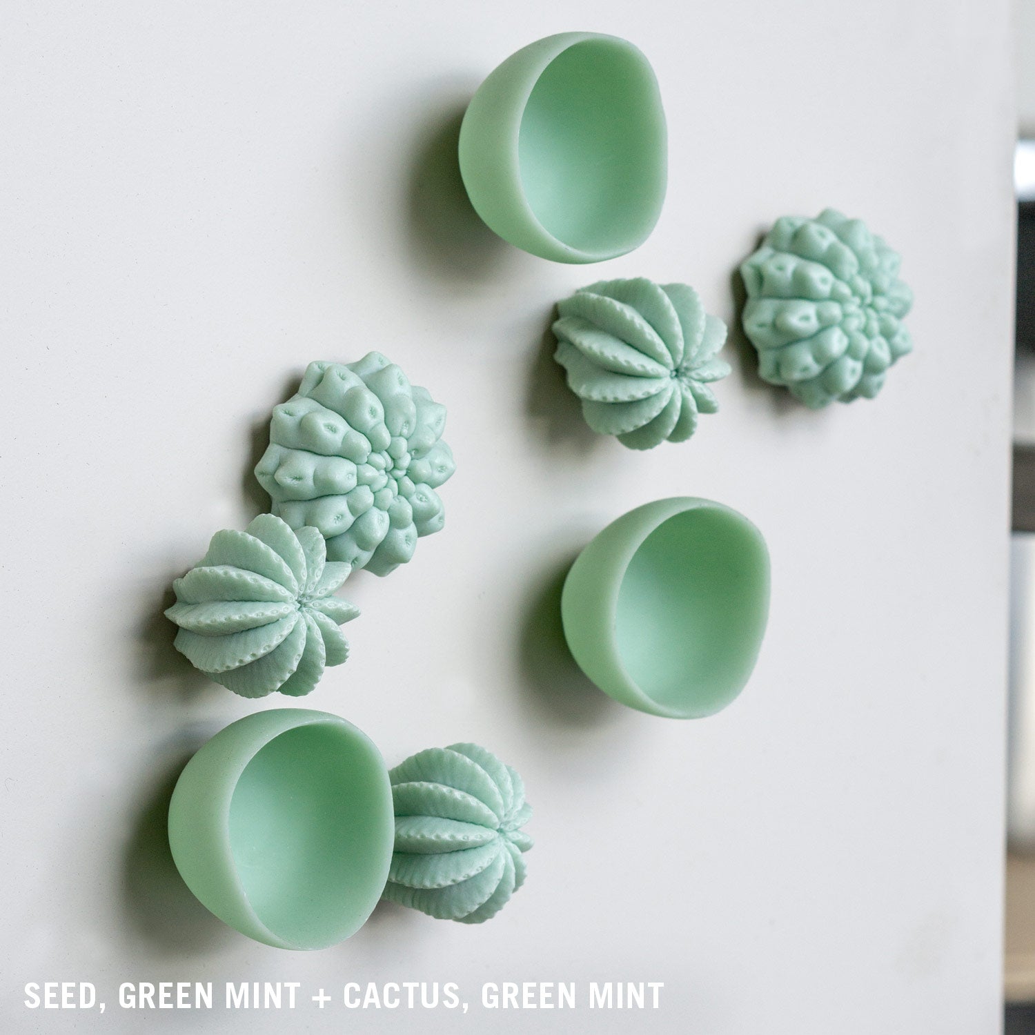 Seed Wall Play™ Green Mint